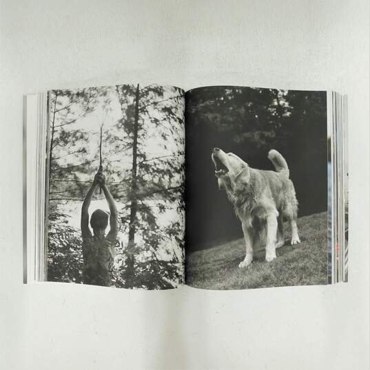 The Golden Retriever Photographic Society By Bruce Weber Taschen Book image number 5