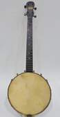 VNTG Maxitone Brand 4-String Open-Back Tenor Banjo (Parts and Repair) image number 1
