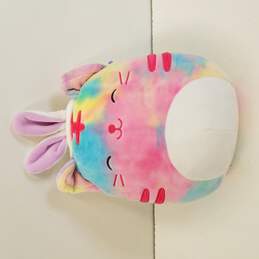 Squishmallow Easter Rainbow Cat Bunny Ears 2020 Kellytoy