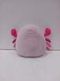 Squishmallows Cailey the Crab NWT image number 2
