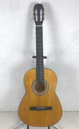 Sierra Acoustic Guitar - Sierra