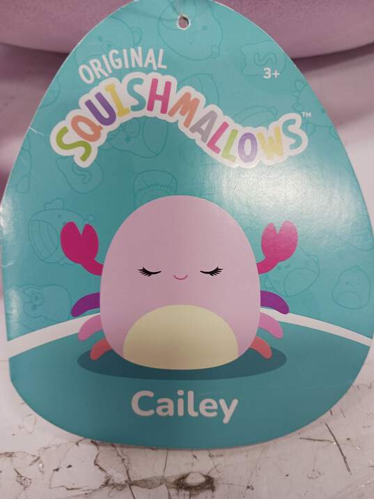 Squishmallows Cailey the Crab NWT image number 3