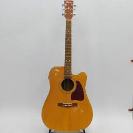 Ibanez Artwood Acoustic-Electric with Bag for P&R