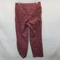 The North Face Womens Pink Routeset Pant Size 10 image number 2