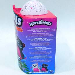 Sealed Hatchimals Mystery 1 of 4 Fluffy Interactive Characters From Cloud Cove alternative image