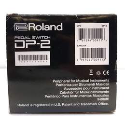 Roland DP-2 Foot Sustain Pedal Keyboard Switch alternative image