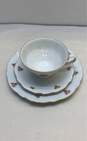 3 Bavaria West Germany Elfenbein Rose Patten Tea Cup Saucer Plate Set image number 3