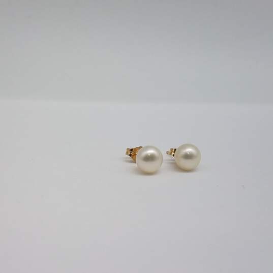 Mayorca 14k Gold 7mm FW Pearl Post Earrings 1.2g image number 4