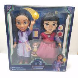 Disney Wish Asha & Dahlia 14 Inch Best Friends Dolls Pack