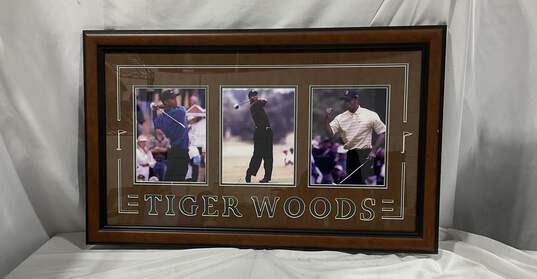 Tiger Woods Framed Pictures image number 1