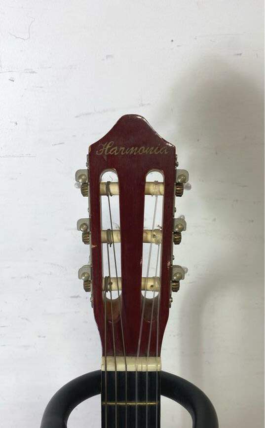Harmonia Acoustic Guitar - Harmonia image number 3