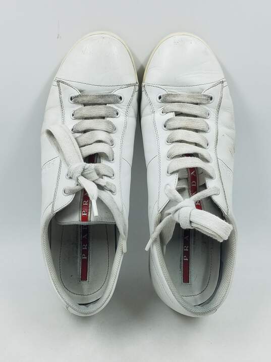 Authentic Prada White Low Sneakers M 9.5 image number 6