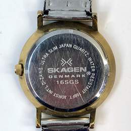 Designer Skagen Denmark 165GS Mesh Strap Round Analog Dial Quartz Wristwatch