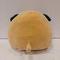 Squishmallow Pug Stuffed Animal Toy image number 2
