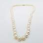 CP 14K Gold 7mm Round Knotted FW Peal 18in Necklace 36.1g image number 1