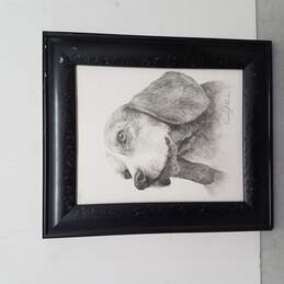 Emily Parks Original Pencil Beagle Drawing Framed
