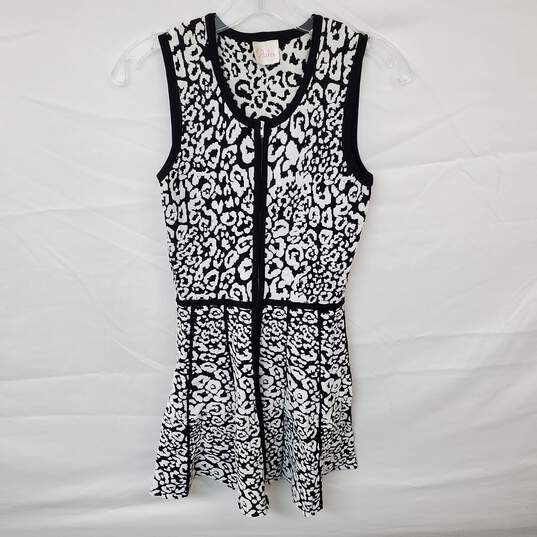Wm Parker Sleeveless Cheetah Print Dress Sz S image number 1