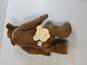 Bearly There 'Zeke' Plush Bear w. Tag image number 2