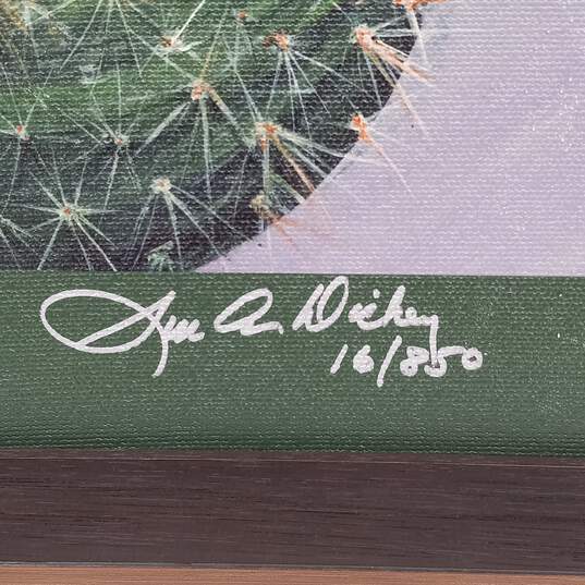 Framed & Signed Purple Majesty Cactus Print by Sue Ann Dickey w/COA image number 4