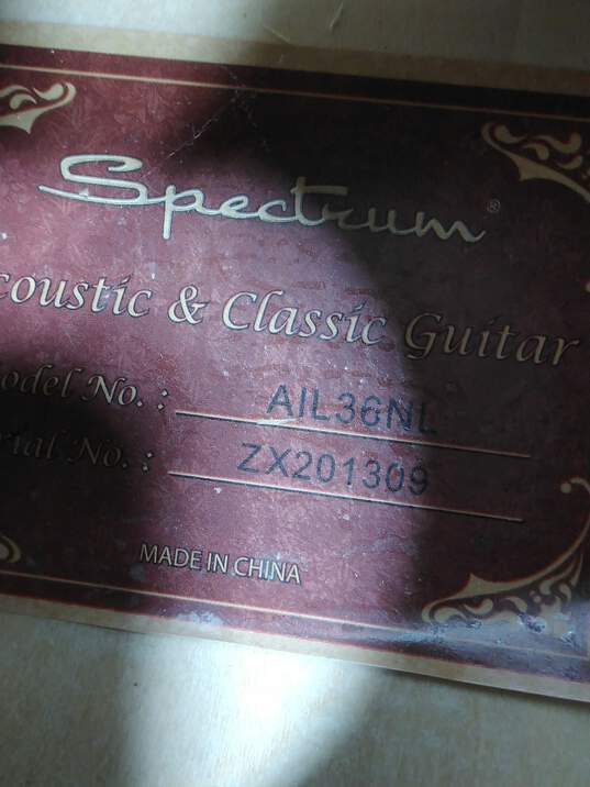 Spectrum 6 String Acoustic Guitar Model No. AIL36NL image number 6