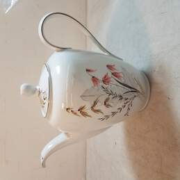German Ceramic Tea Pot