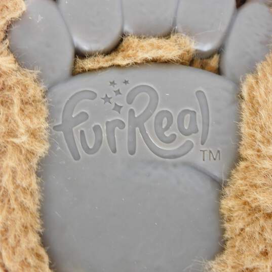 FurReal Cubby The Curious Bear Interactive Animatronic Talking Plush Toy image number 4
