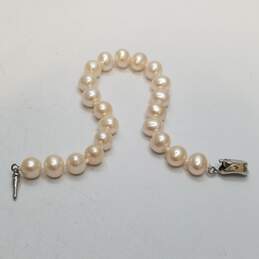 Sterling Silver FW Pearl Knotted 7.8mm 7in Bracelet 17.0g alternative image