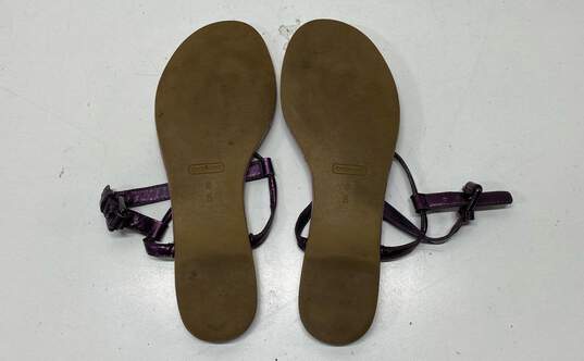 COACH Plum Signature T-Strap Thong Sandals Size 6 B image number 6