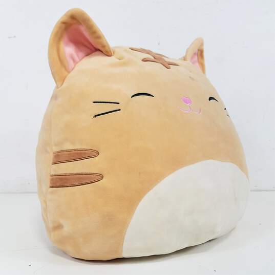 Squishmallows Nathan Tabby Cat Plush image number 2