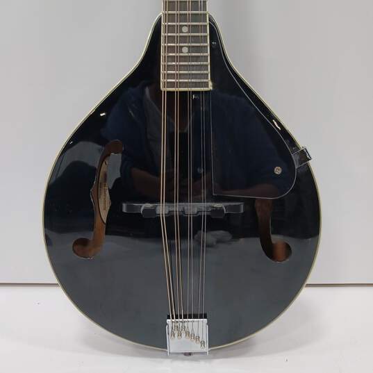 Savannah Model SA-100-BK Black Body Mandolin image number 3