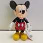 Lot of Mickey Unlimited Disney Accessories image number 6