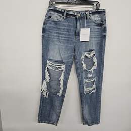 Distressed Blue Jean Pants