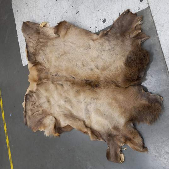 Large Piece of Deer Fur Pelt image number 1