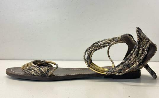 Tory Burch Brown Strappy Sandal Women 9.5 image number 2