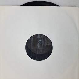 Reflections -- Dan Jones Vinyl Record alternative image
