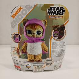 Star Wars Galactic Pals Baby Ewok Doll w/Packaging alternative image