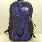 The North Face Jester Backpack Purple, Blue image number 1