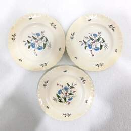 Wedgwood England Williamsburg Wild Flowers Set of 7 6 1/4 Inch Butter Plates alternative image