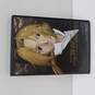 Aniplex Funimation Fullmetal Alchemist The Movie Conqueror of Shamballa Special Edition 2-Disc Set DVD image number 1