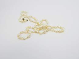14K Yellow Gold Clasp White Freshwater Pearls Beaded Necklace 6.3g alternative image