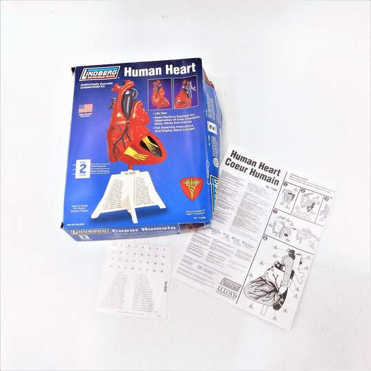 2 Lindberg Science Nose/Mouth & Human Heart Anatomy Model Kits image number 2