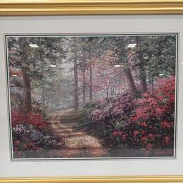 Framed Art Print Of Path Between Colorful Flowering Trees In Forest alternative image