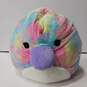 Bundle of 3 Assorted Rainbow Squishmallows image number 2