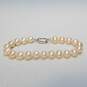 Sterling Silver FW Pearl Knotted 7.8mm 7in Bracelet 17.0g image number 1