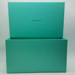 Tiffany & Co. Blue Box Only 147.6g