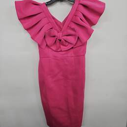 Aomei Pink Sheath Dress