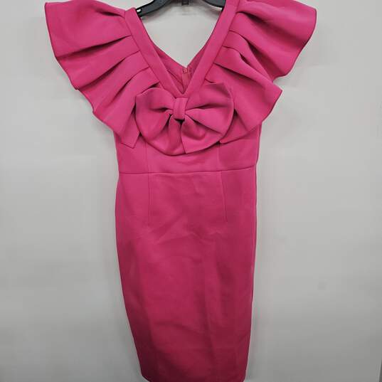 Aomei Pink Sheath Dress image number 1