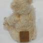 Mary Meyer Mohair Collectable Bear IOB image number 4