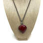 Designer Lucky Brand Silver-Tone Fox Tail Chain Red Stone Pendant Necklace image number 1