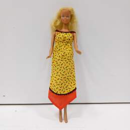 Barbie Doll In Case w/ Clothes& Other Accessories alternative image